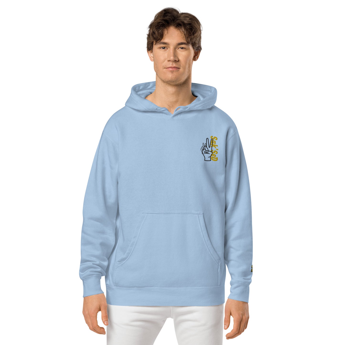 "Elevate Your Style with the Unisex Pigment-Dyed Hoodie by ANYONE CAN SUCCEED QUALITY."